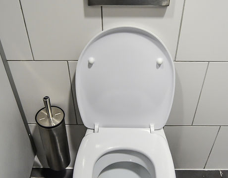 Toilets & Sinks Installation