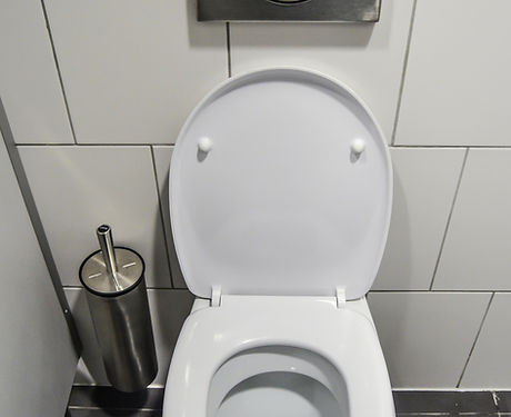 Toilets & Sinks Installation