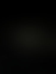 2026年度 さ~くる年間テーマ“Cherish”