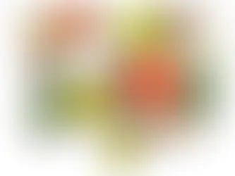 Best Foods for Gut Health