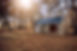 10x24 in woods.JPG