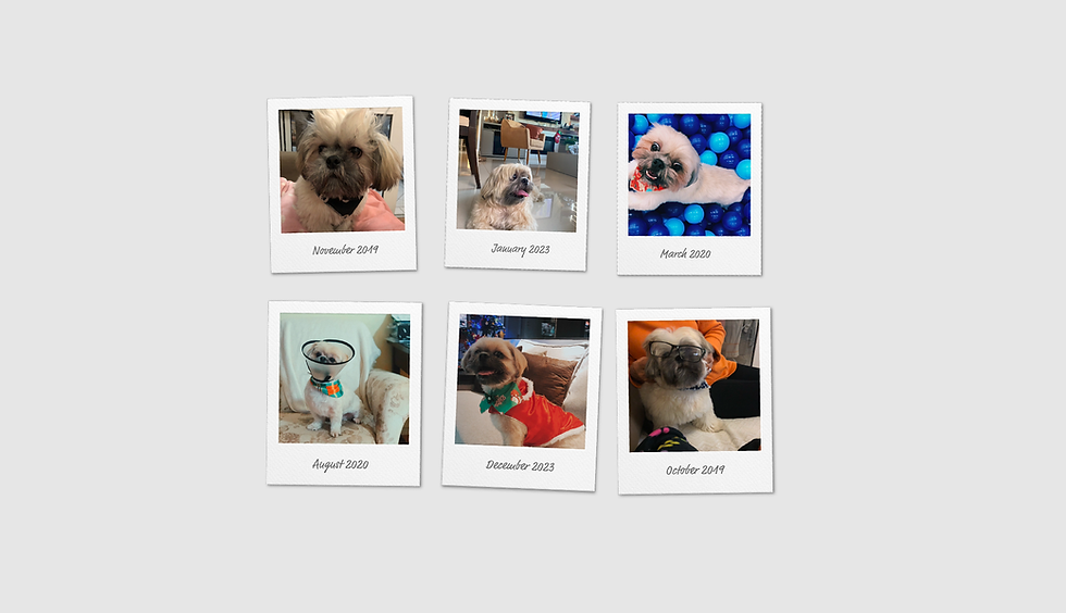 polaroids.png