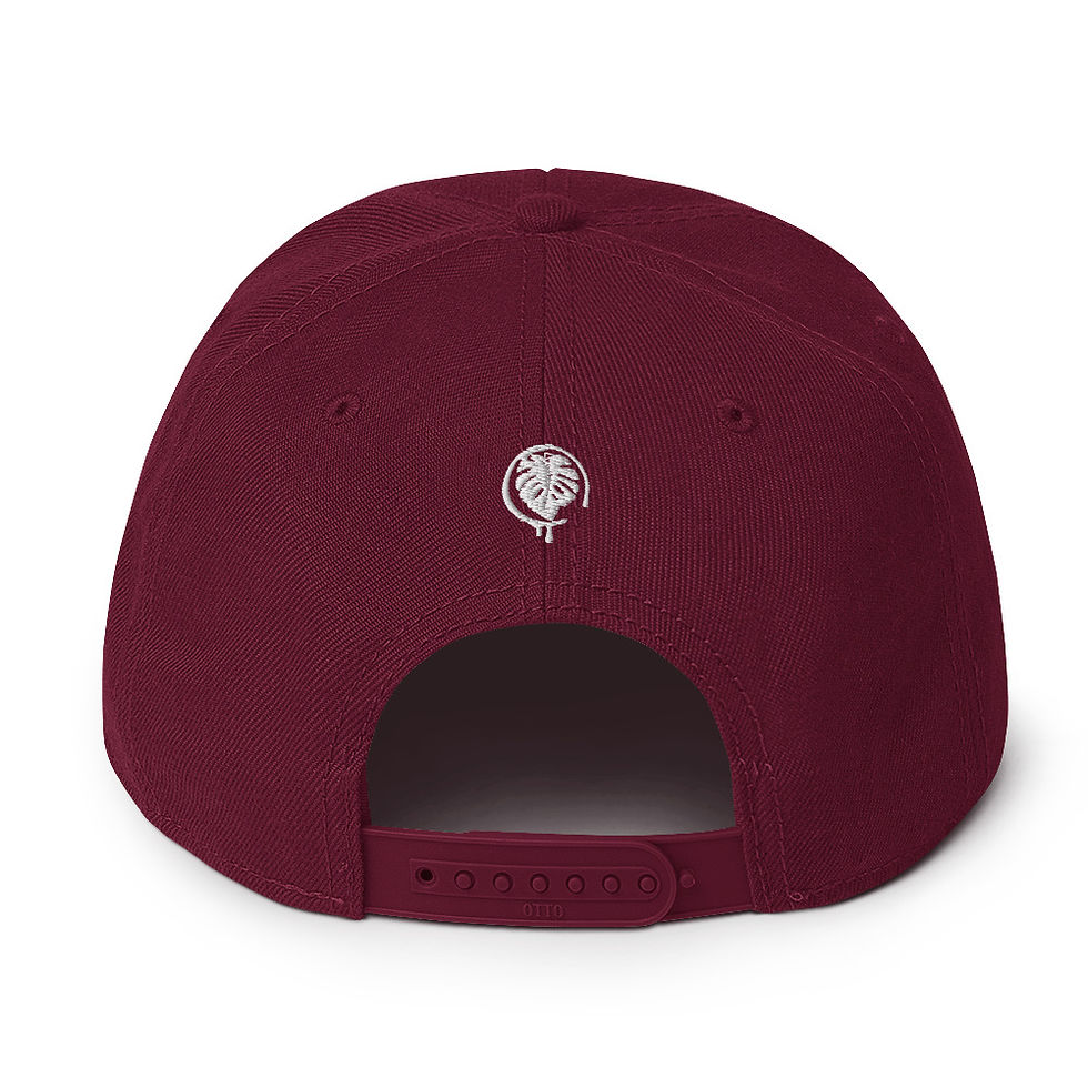 Miniature : Snapback Hat