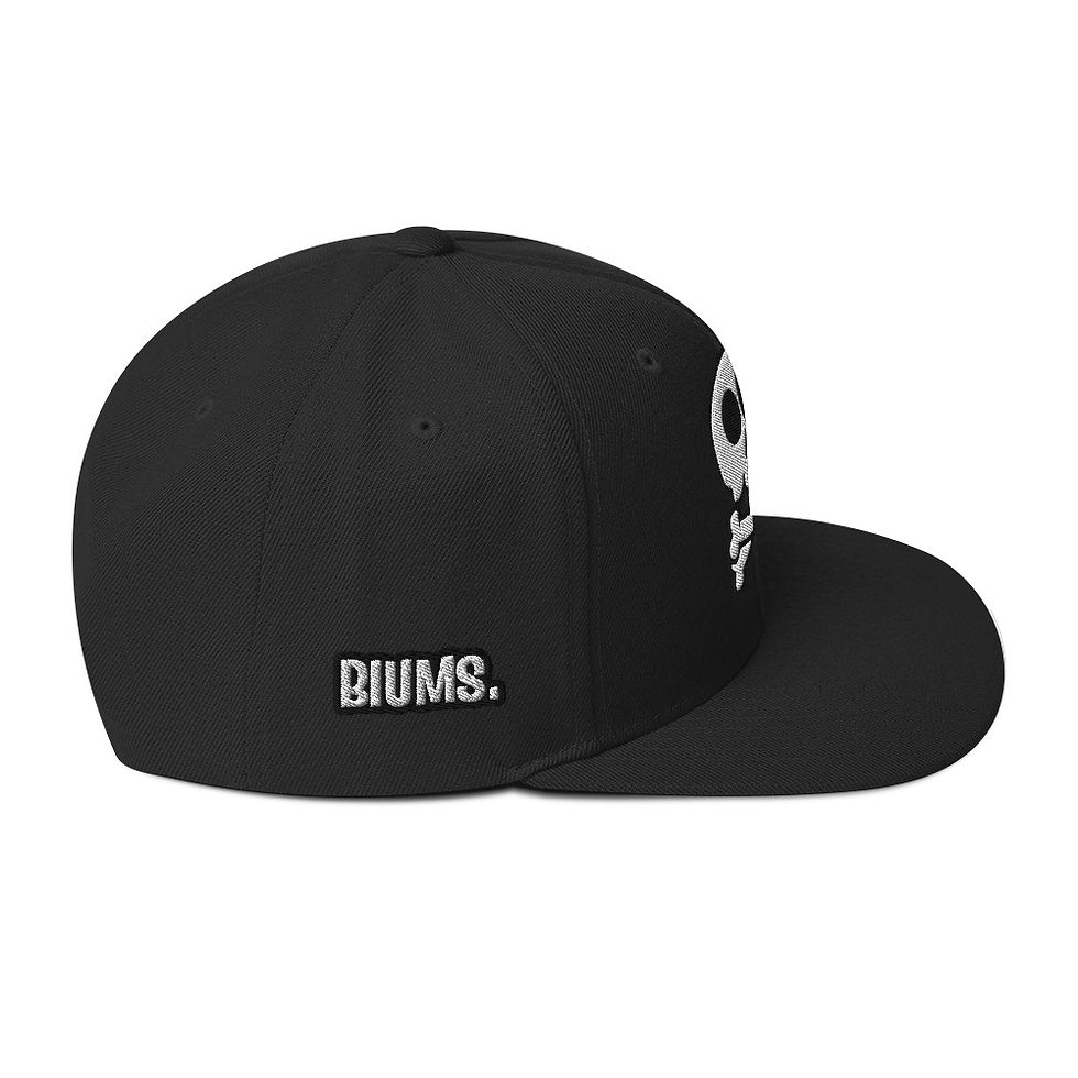 Miniature : Snapback Hat