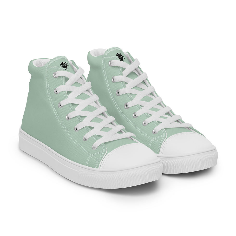 High top canvas shoes