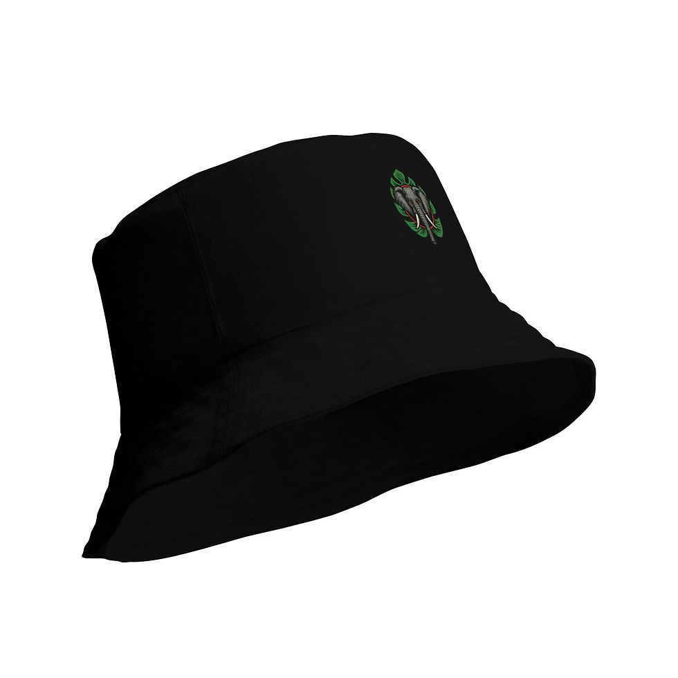 Reversible bucket hat Biums