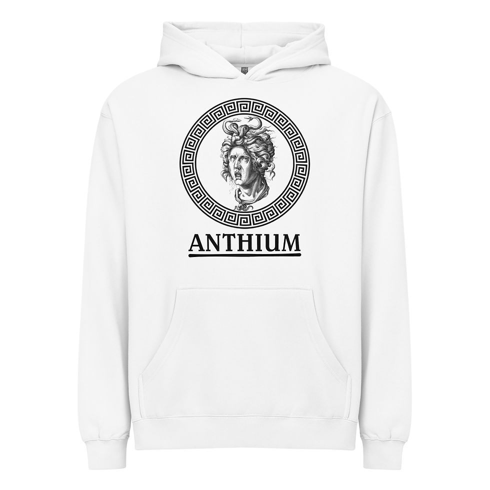 Men’s box hoodie Cotton Heritage