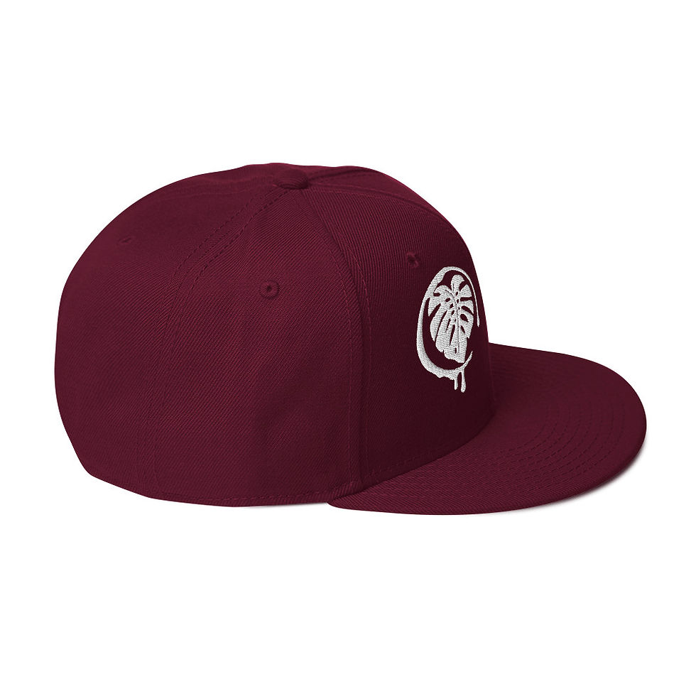 Miniature : Snapback Hat