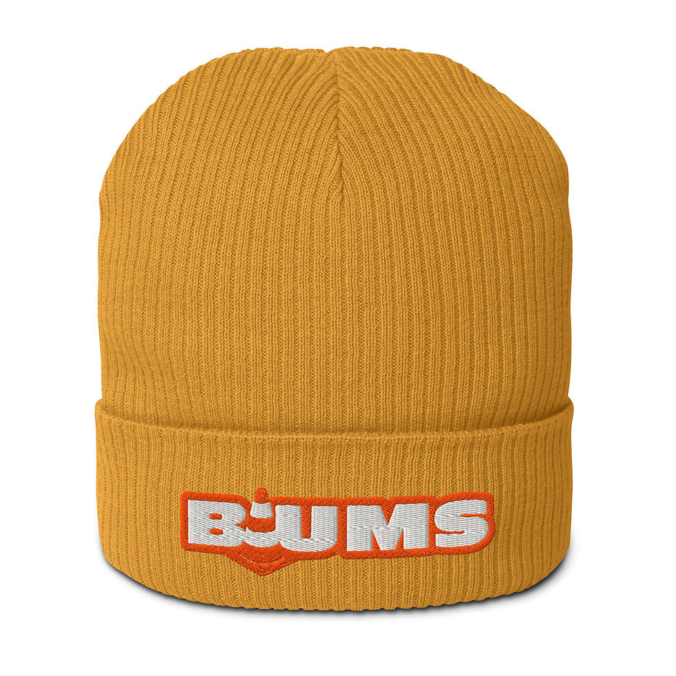 Organic Ribbed Beanie