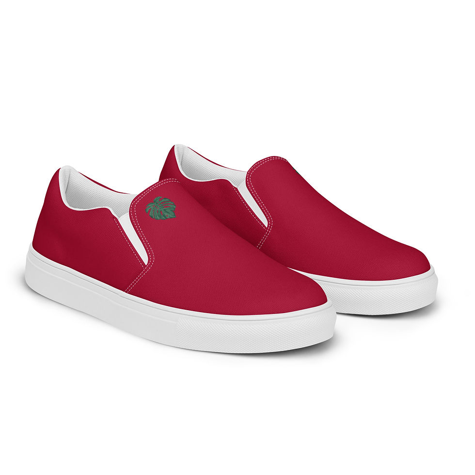 Men’s Slip-On Canvas Shoes - Biums Classic