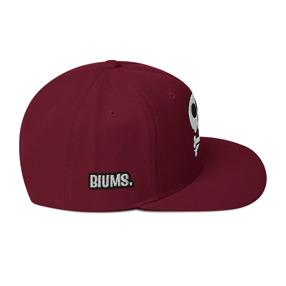 Miniature : Snapback Hat