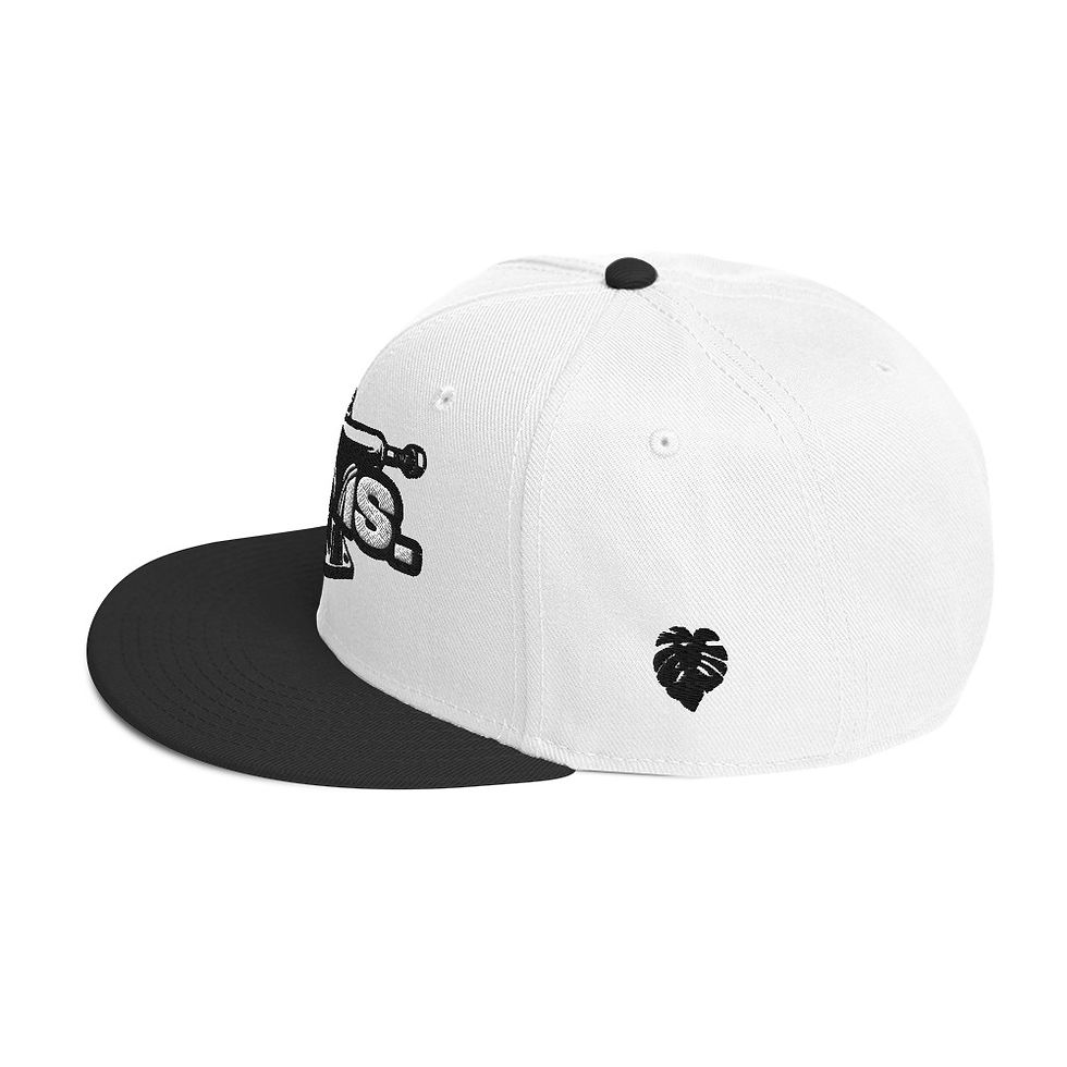 Snapback Hat Otto Cap