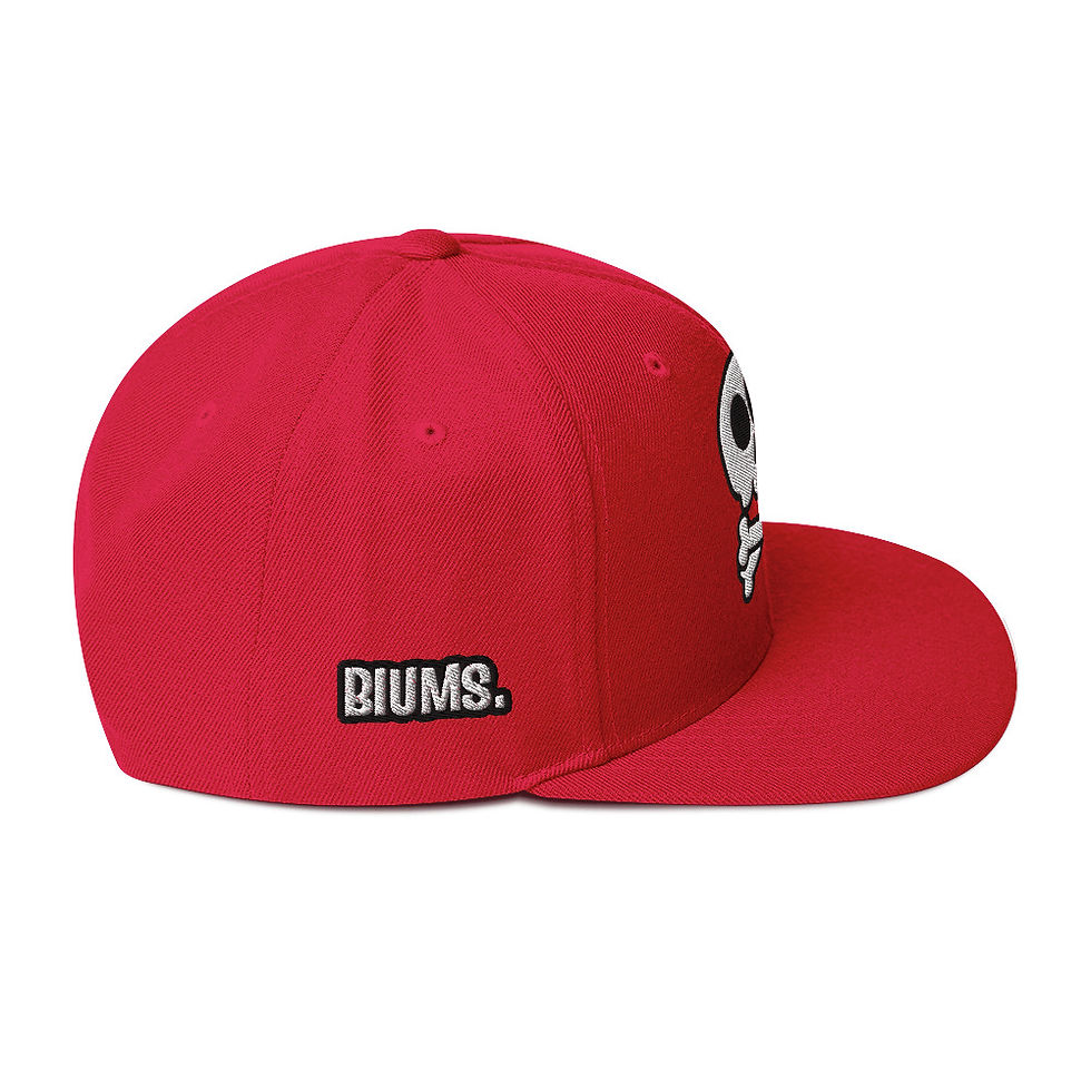 Miniature : Snapback Hat