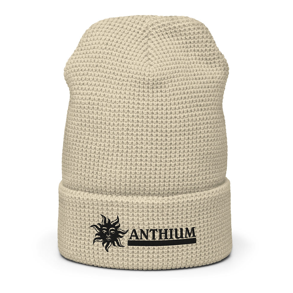 Waffle beanie Richardson