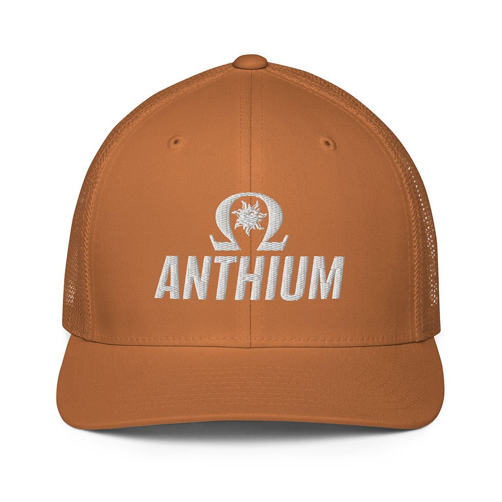 Closed-back trucker cap Flexfit