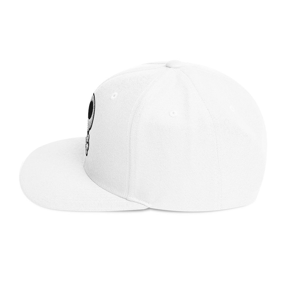 Miniature : Snapback Hat