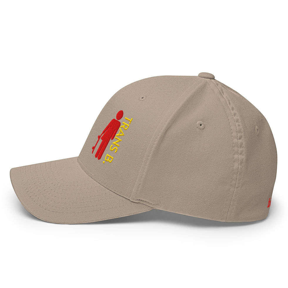 Miniature : Structured Twill Cap