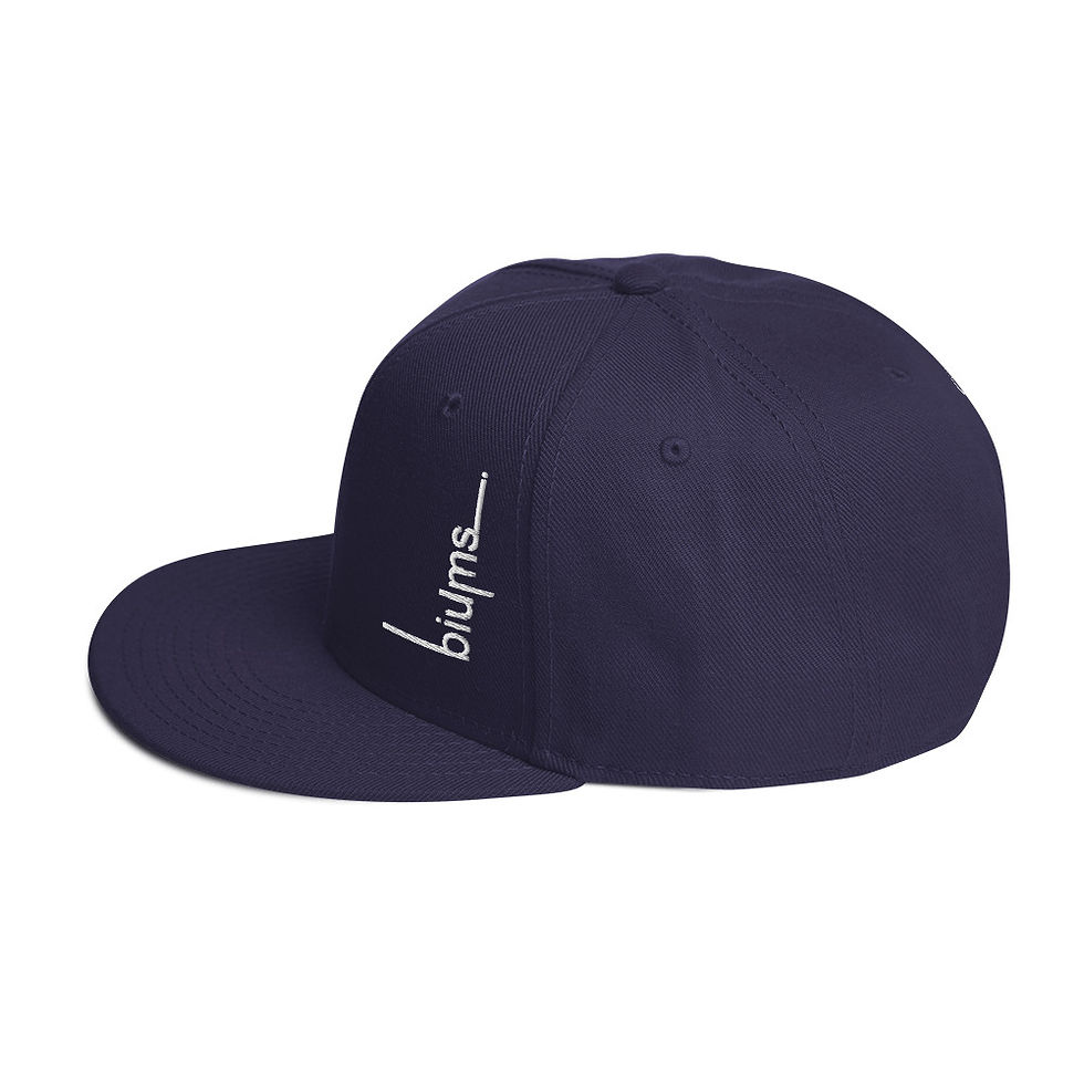 Miniature : Snapback Hat