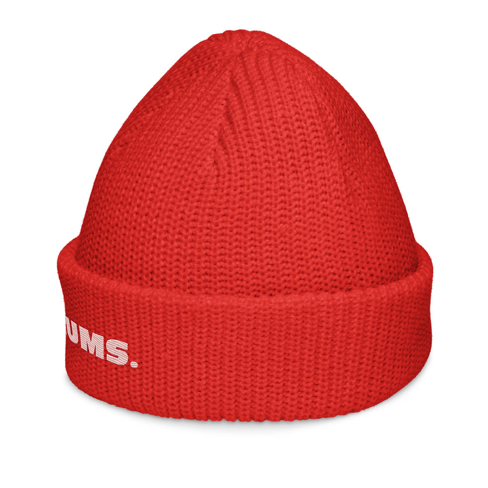 Miniature : Fisherman beanie