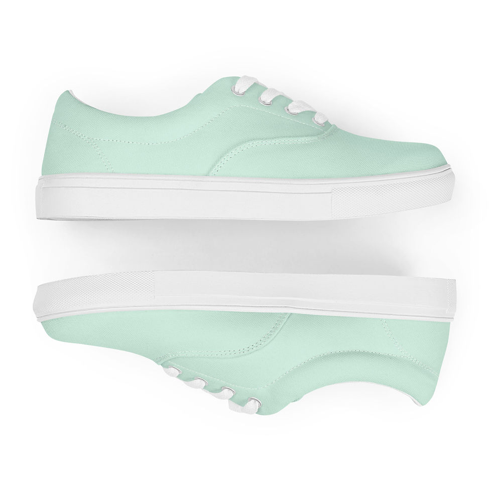 Lace-up canvas shoes