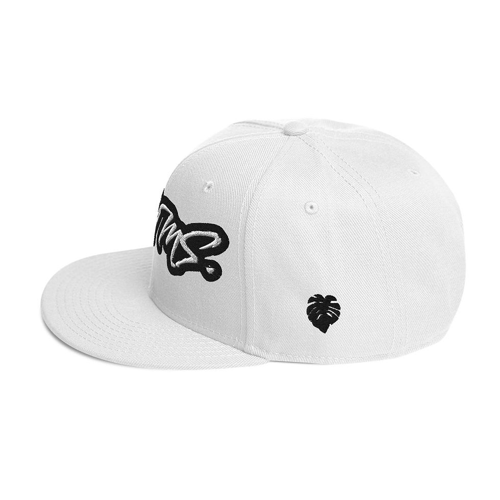 Miniature : Snapback Hat Otto Cap