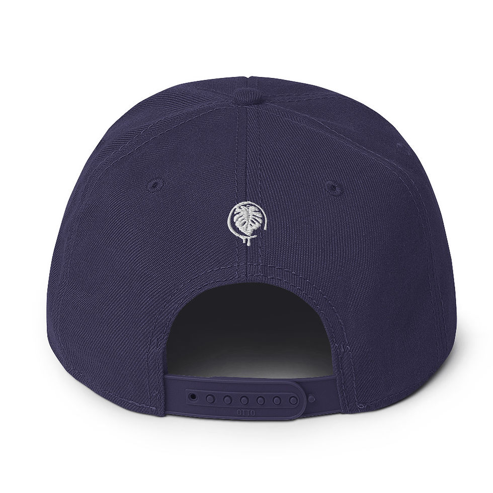 Miniature : Snapback Hat