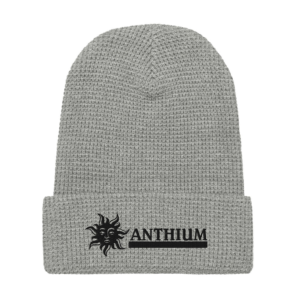 Waffle beanie Richardson