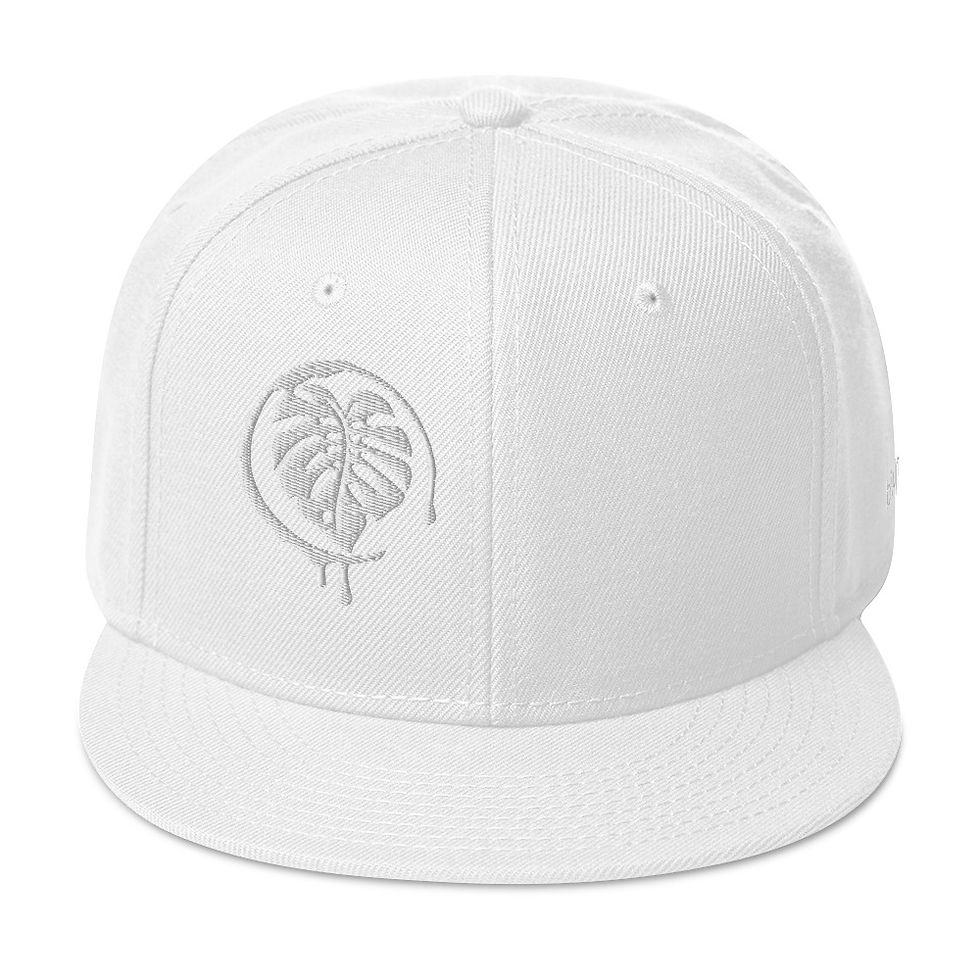 Miniature : Snapback Hat