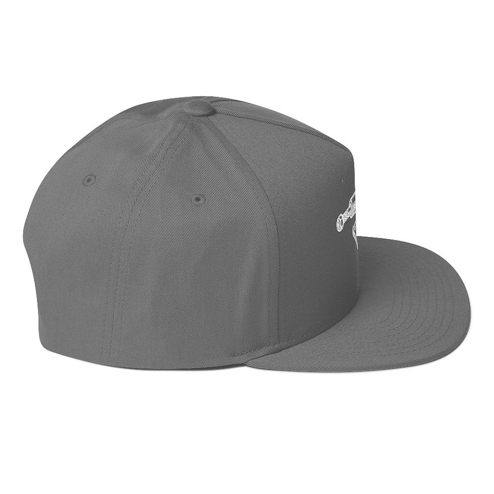 Miniature : Flat Bill Cap