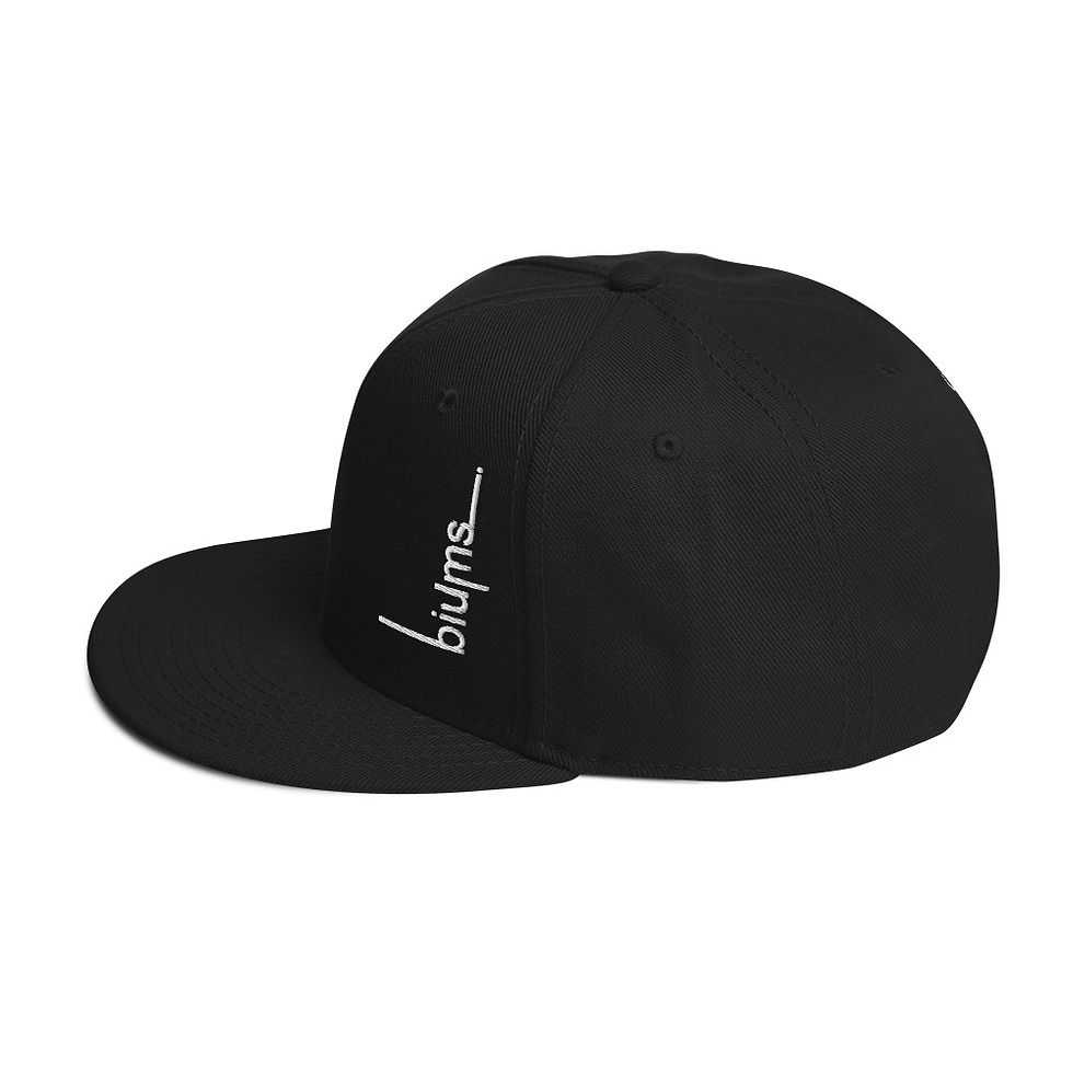 Miniature : Snapback Hat