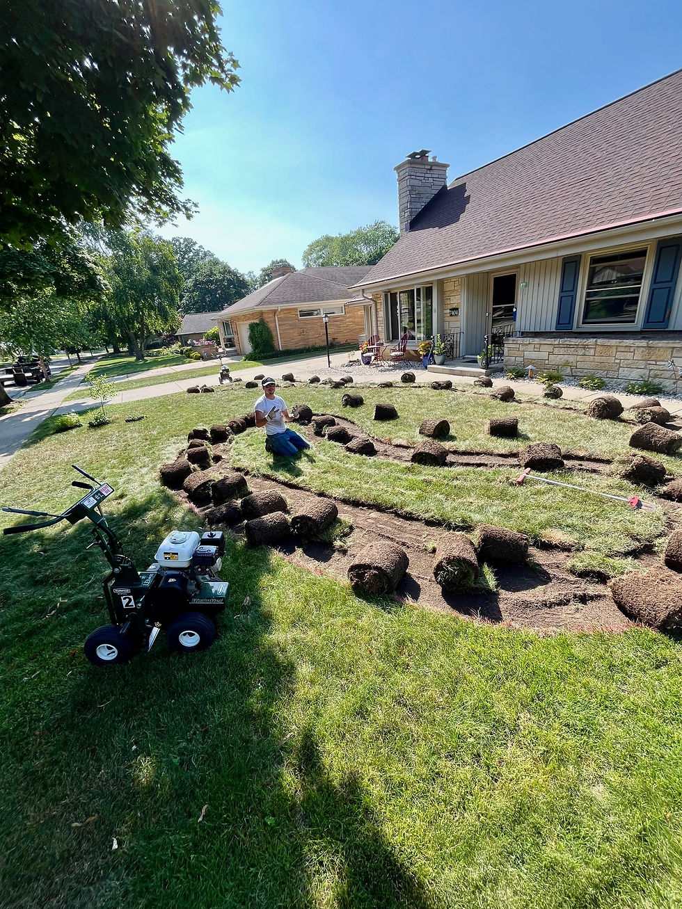 Site Prep