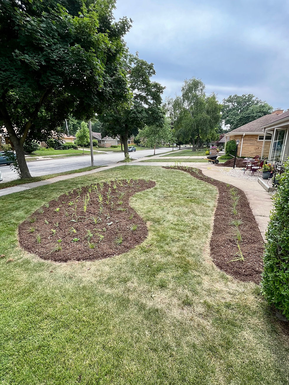 Naturalistic Native Flower Bed
