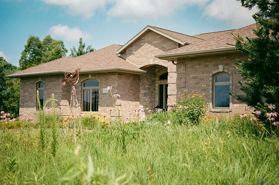 Front yard prairie