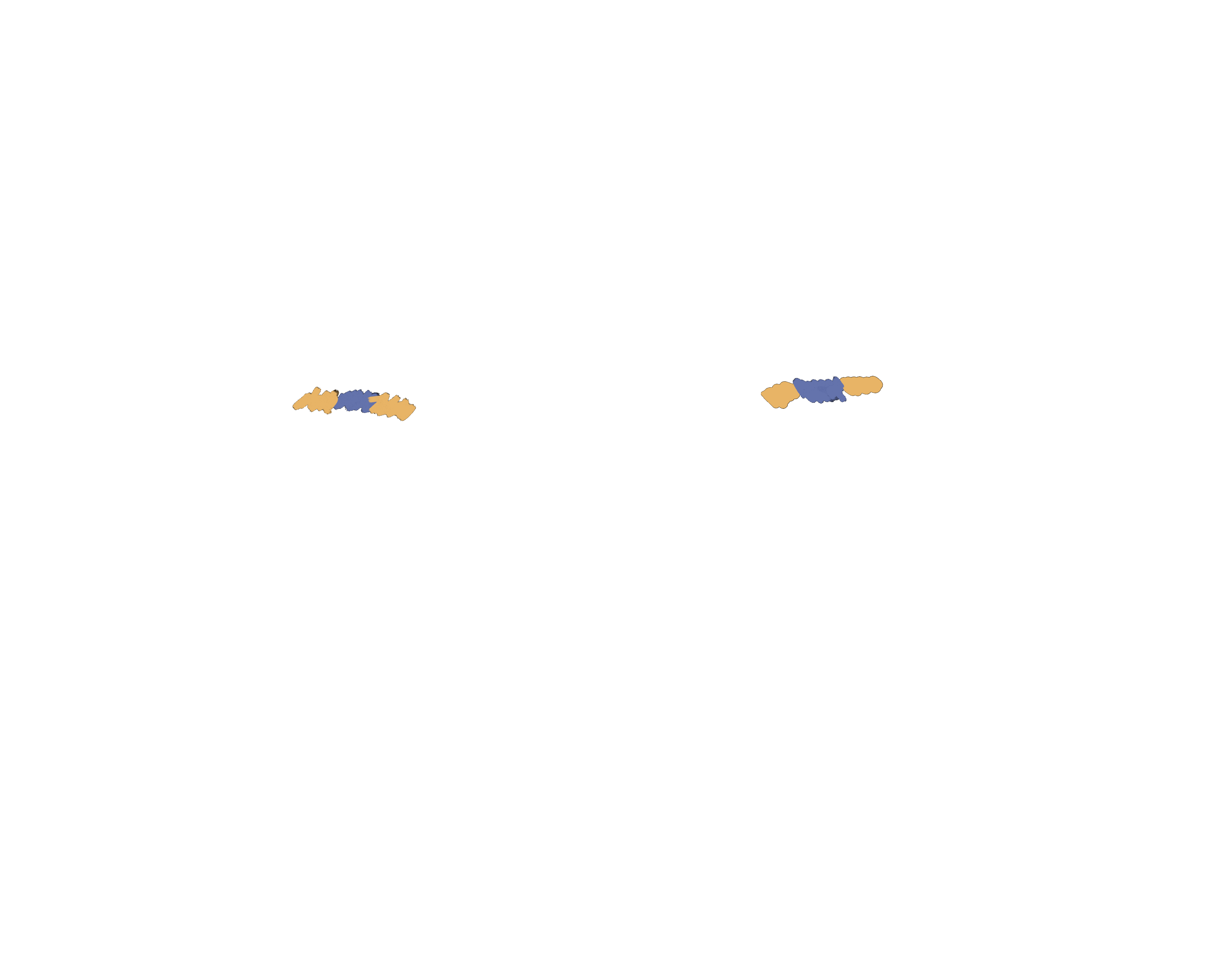 Untitled_Artwork 3.gif