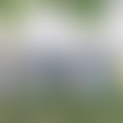 Radiant Extended Family Session in Elkton, Virginia