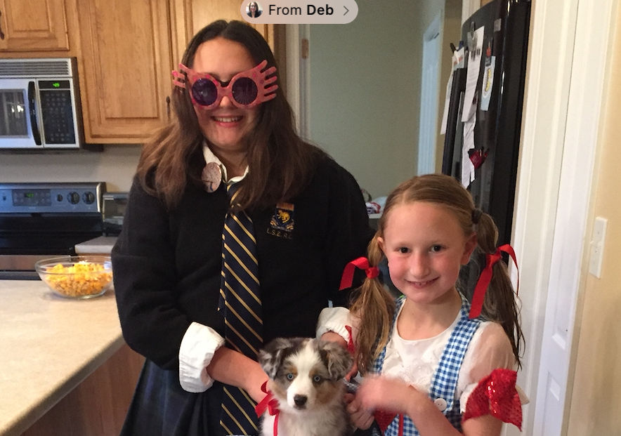 Happy Halloween and Trick or Treating Hours!