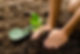 Replanting the Earth.png