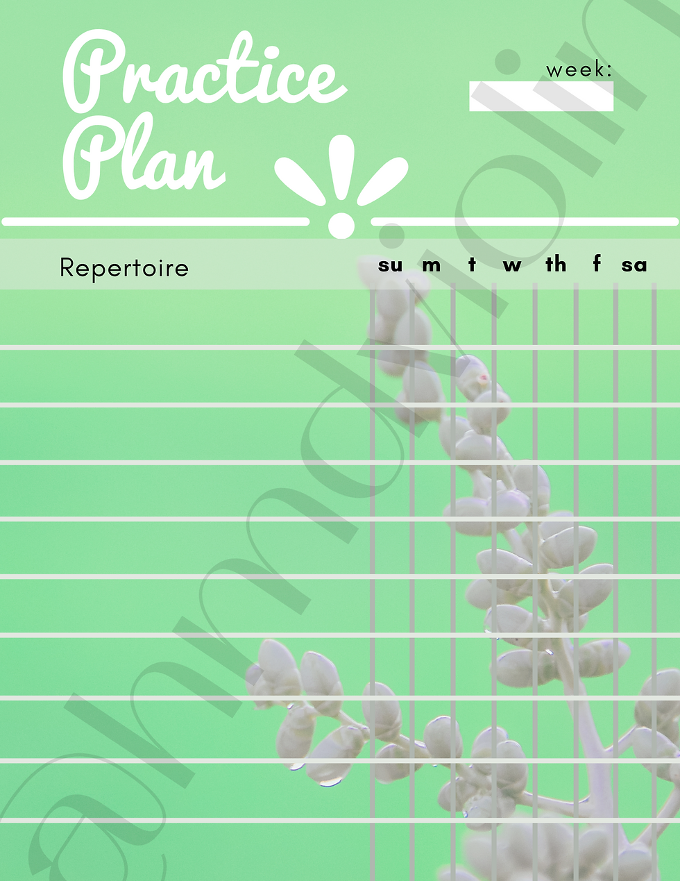 Weekly Practice planner-3
