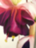 fleur.jpg