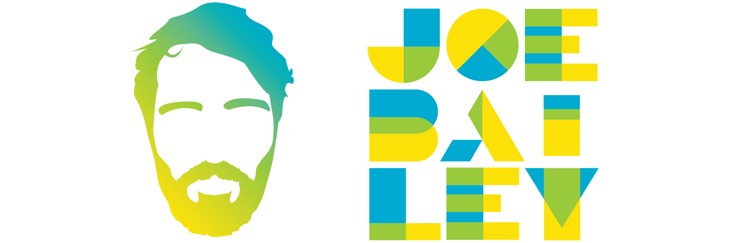 about-joe-bailey-design