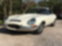 IMG_4015 2.jpeg