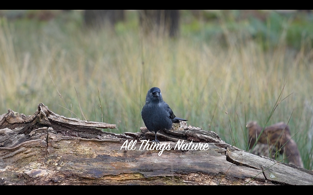 Screenshot 2026-03-17 at 12.18.22.png