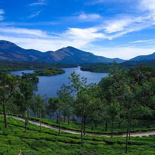 WhatsApp Image 2025-09-11 à 10.38.09_150b1dc5