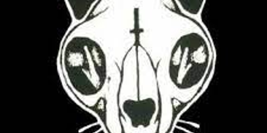 Itchy Kitty, Cat Valley, and Mr. Dinkles