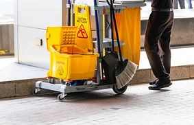 istockphoto-1129162570-612x612.jpg