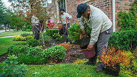 grassperson-crew-planting-3.jpg