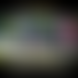 Third Annual Flag Raising Kicks Off North Carolina’s 20th Annual NC Juneteenth Celebration