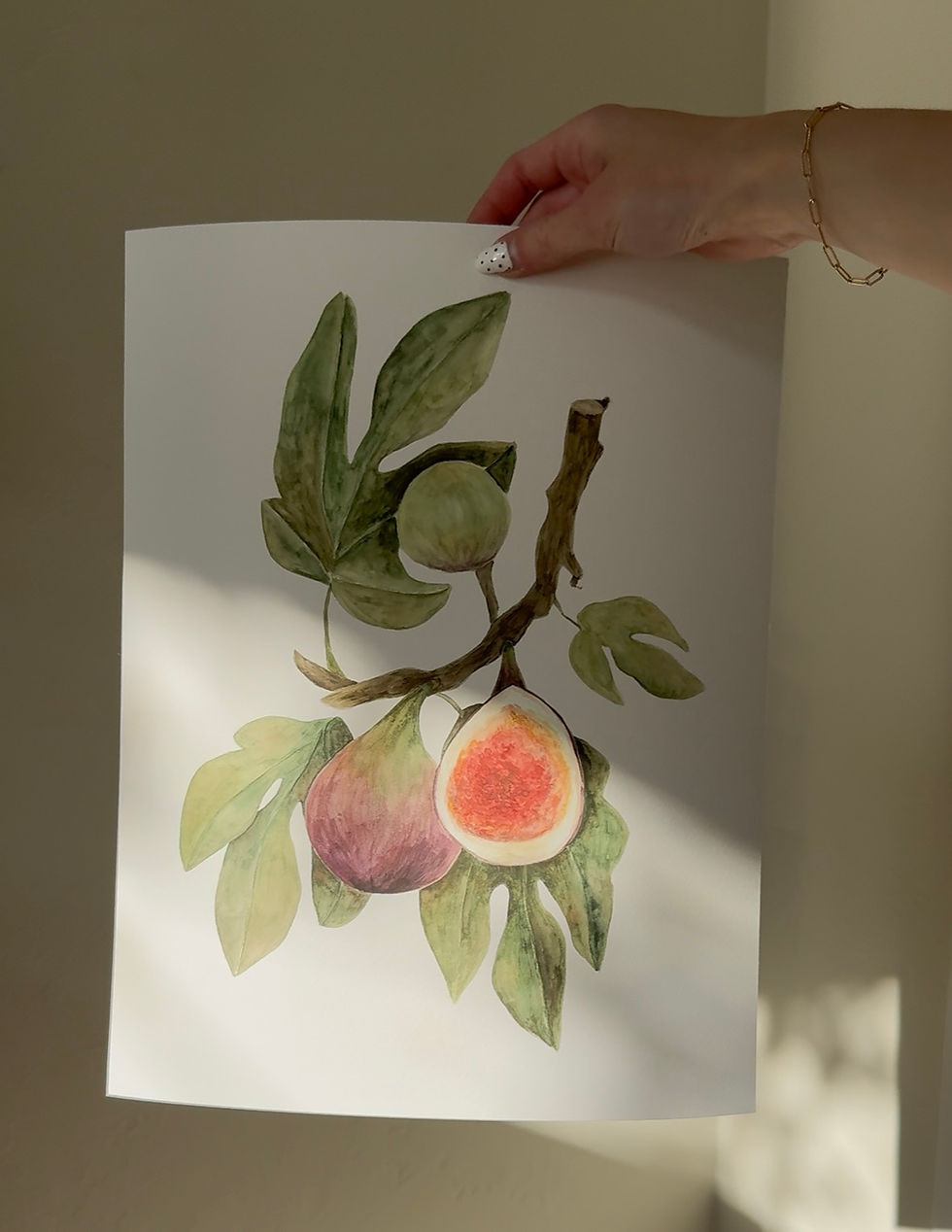 Thumbnail: Fig Watercolor Print