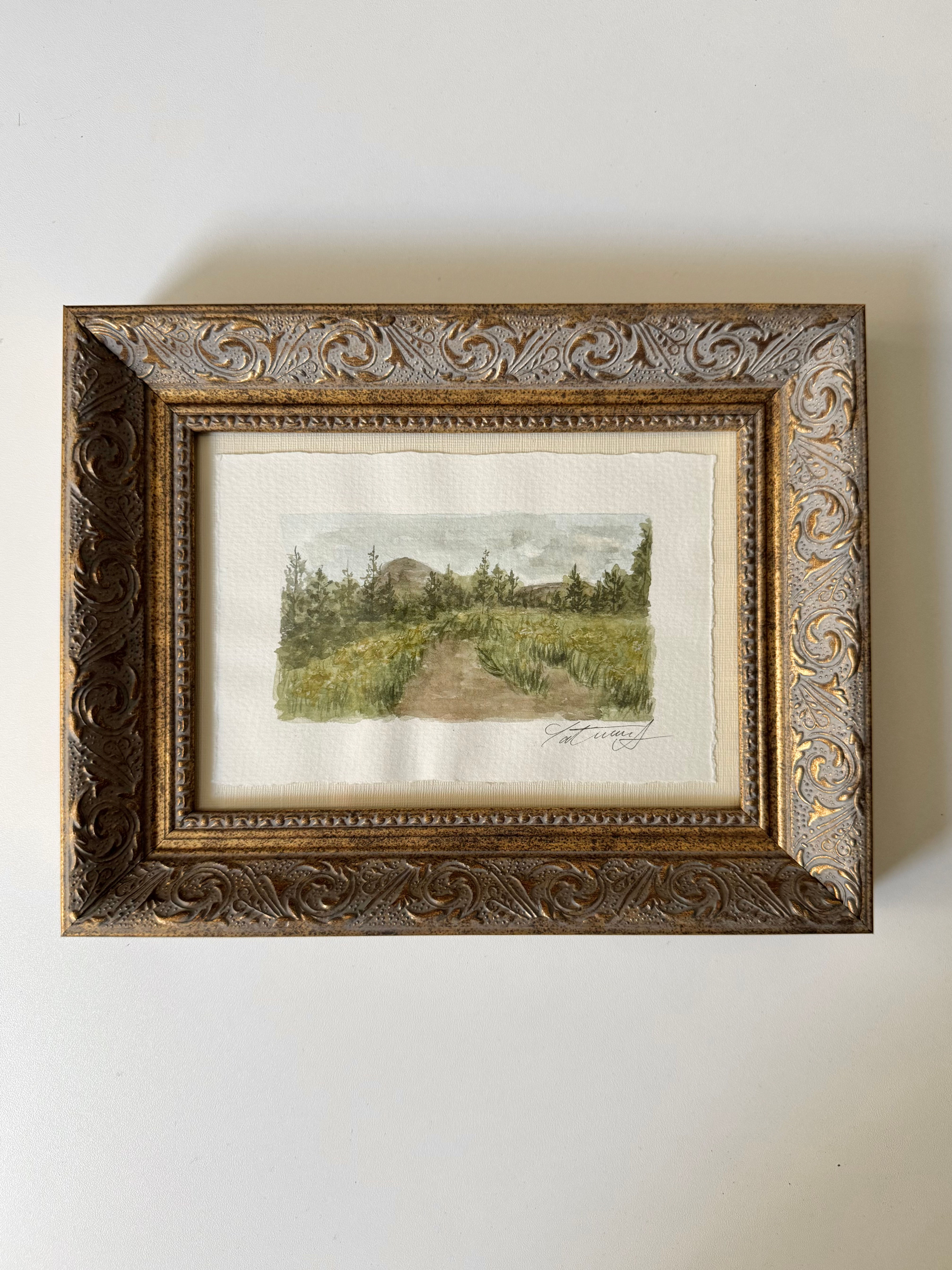 Kathryn’s Trailhead Original Framed Art