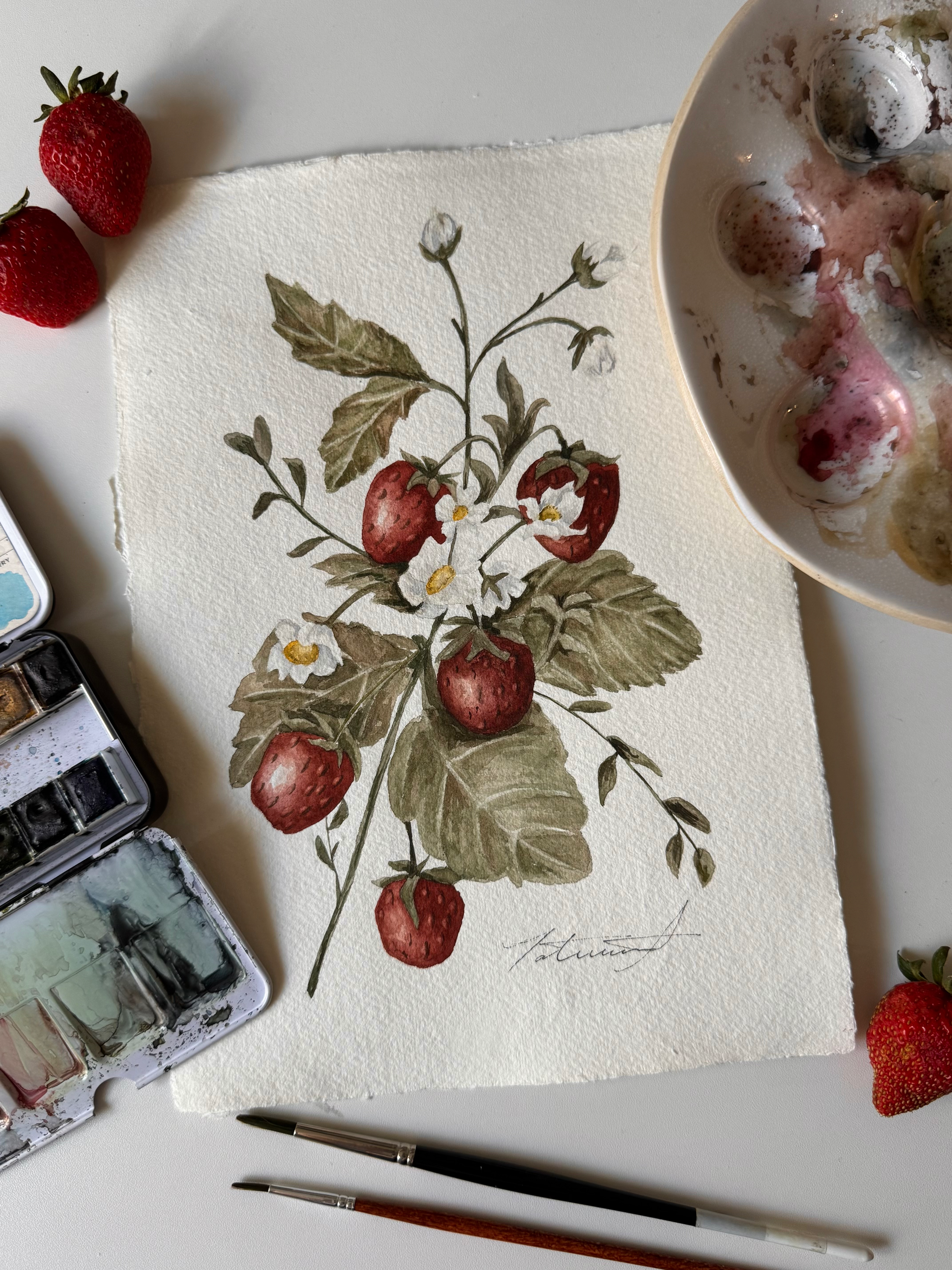 Strawberry Vine Watercolor Original